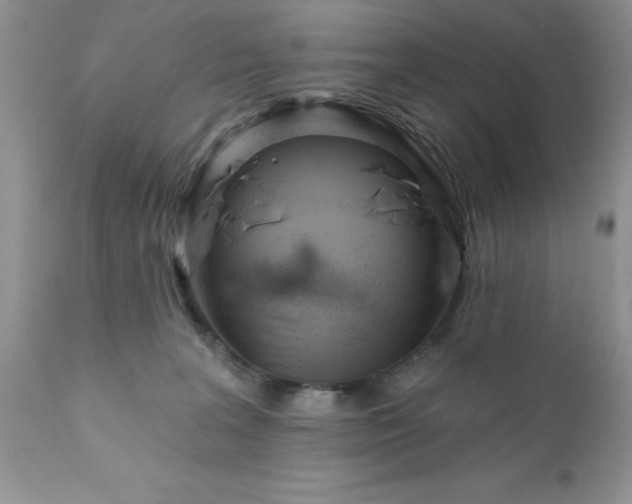 X0000111790227200907301153