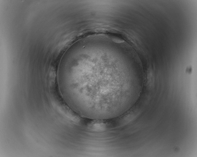 X0000111790228200907301153