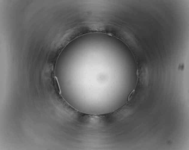 X0000111790229200907301153