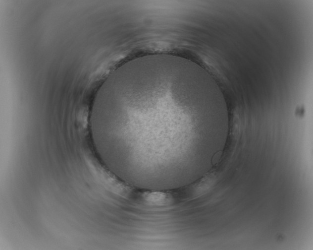 X0000111790230200907301153