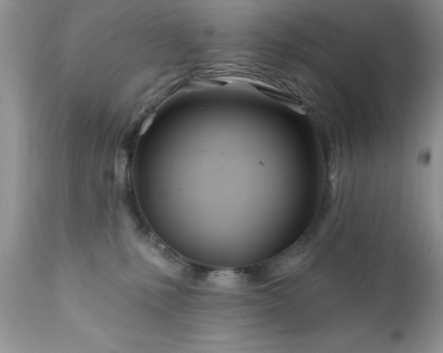 X0000111790231200907301153