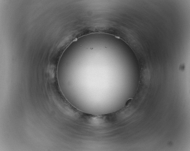 X0000111790232200907301153