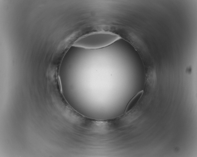 X0000111790233200907301153