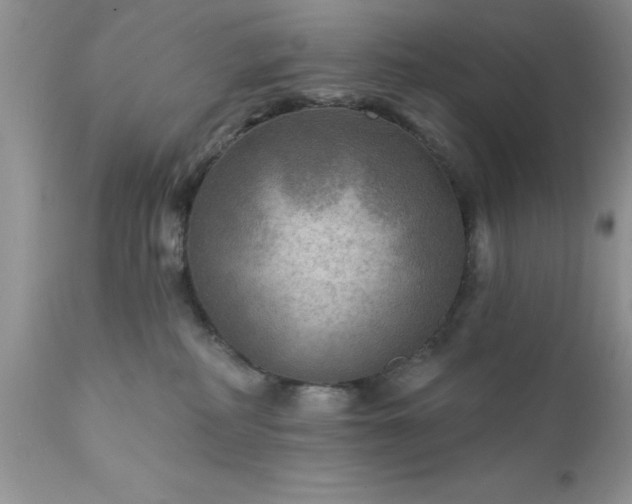 X0000111790234200907301153