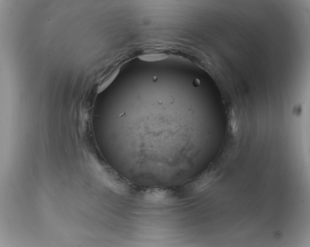 X0000111790235200907301153