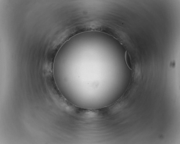 X0000111790236200907301153