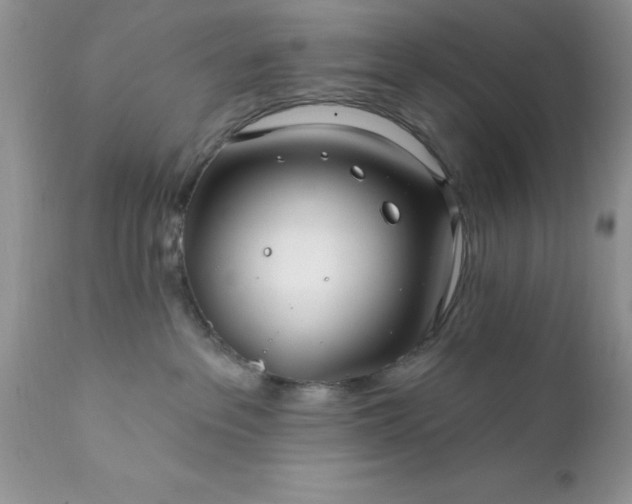 X0000111790237200907301152