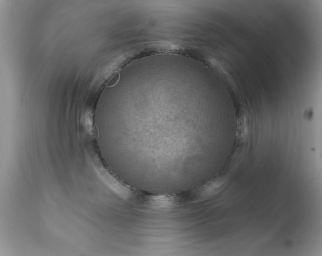 X0000111790238200907301152