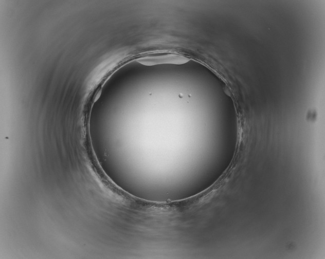 X0000111790245200907301152