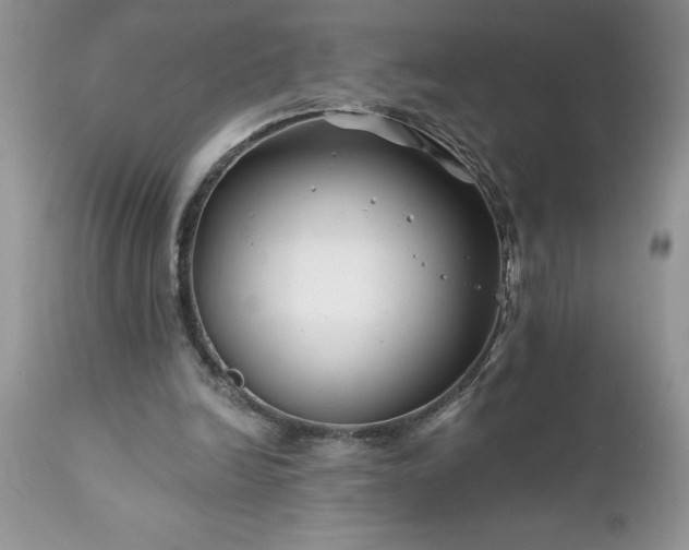 X0000111790246200907301152