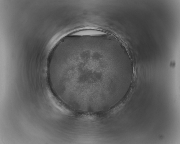 X0000111790247200907301152