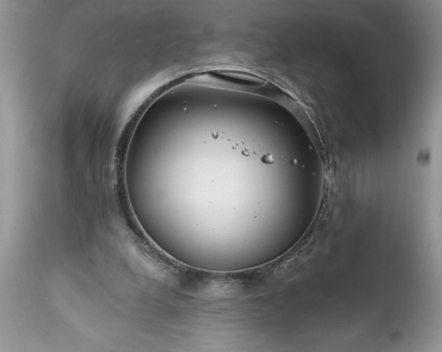 X0000111790248200907301152