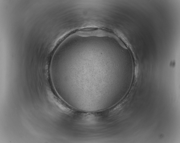 X0000111790249200907301152