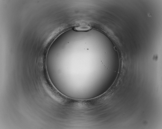 X0000111790250200907301152