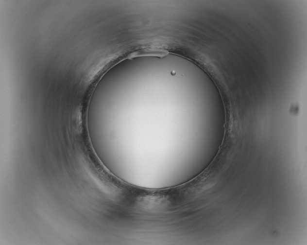 X0000111790251200907301152