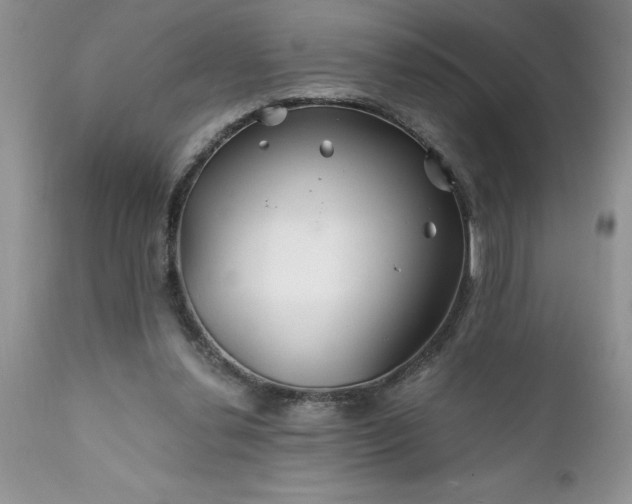 X0000111790252200907301152