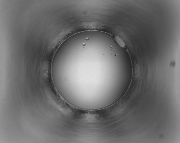 X0000111790255200907301152