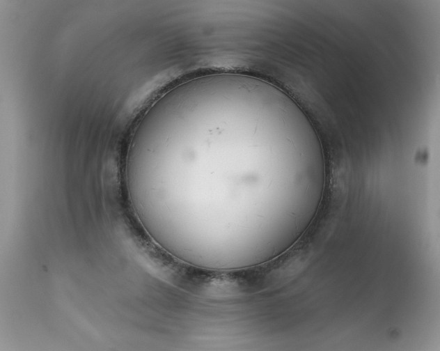 X0000111790256200907301152