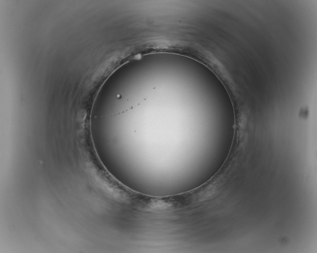 X0000111790257200907301152