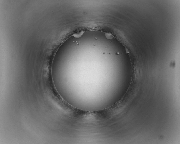 X0000111790259200907301152