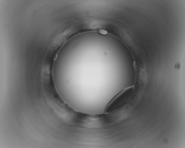 X0000111790260200907301152