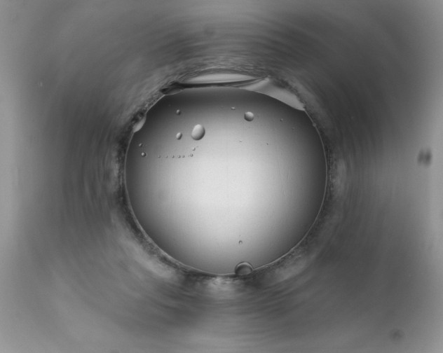 X0000111790261200907301152