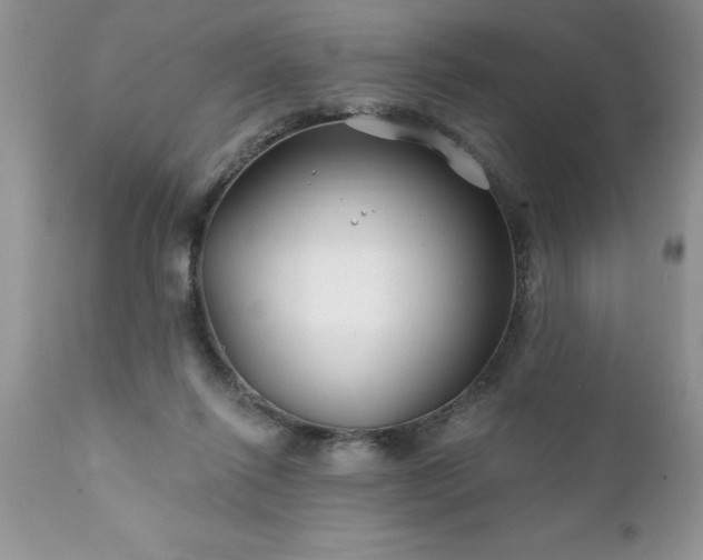 X0000111790262200907301152