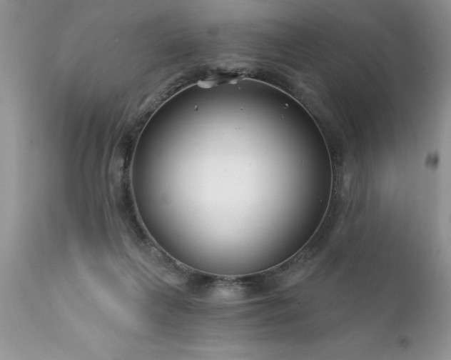 X0000111790263200907301152