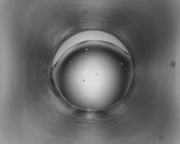 X0000111790264200907301152