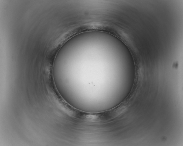 X0000111790265200907301152