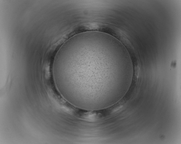 X0000111790267200907301152