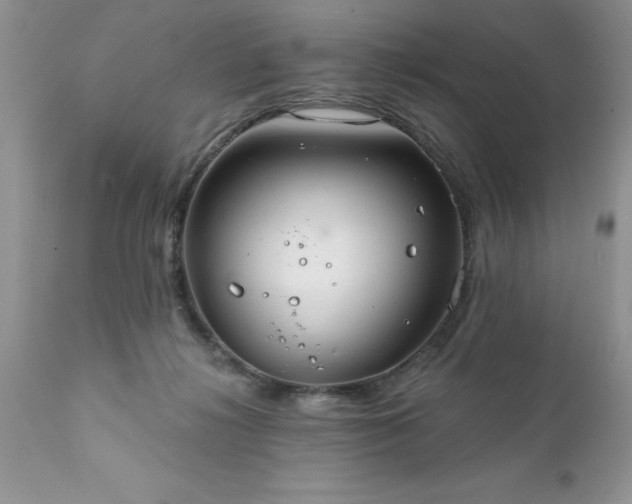 X0000111790268200907301152