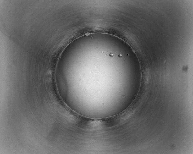 X0000111790269200907301152