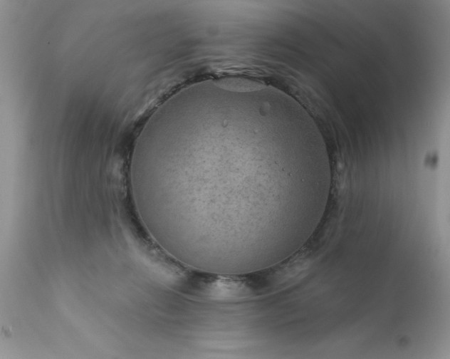 X0000111790270200907301152