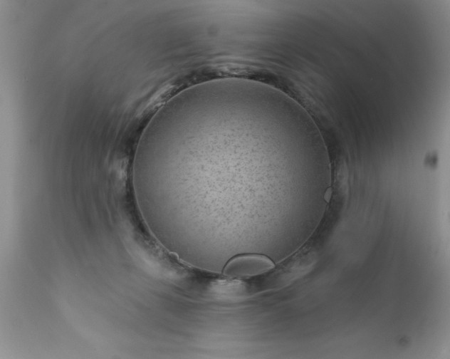 X0000111790271200907301152