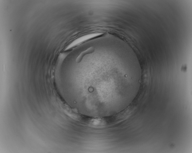 X0000111790275200907301152