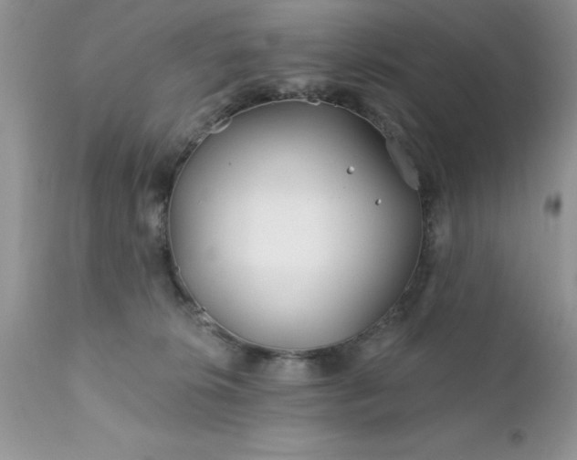 X0000111790276200907301152