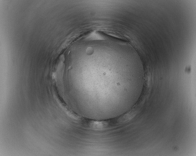 X0000111790277200907301152