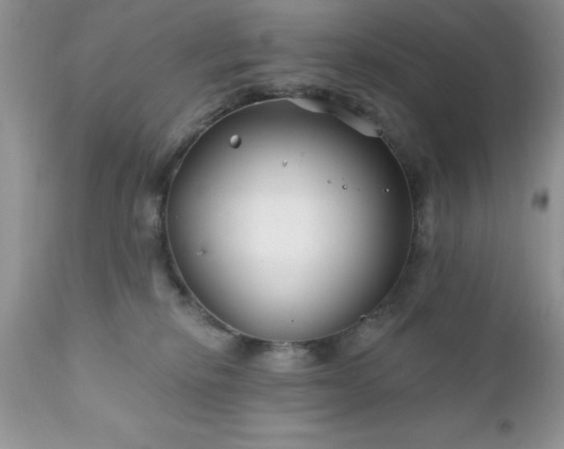 X0000111790278200907301152