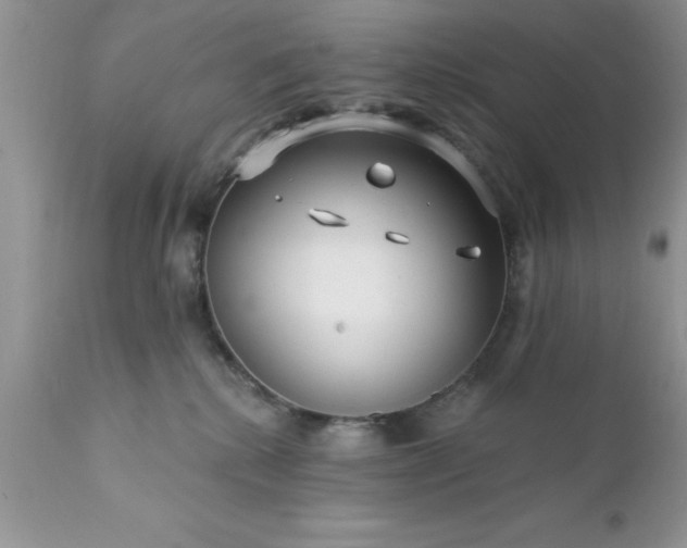 X0000111790280200907301152