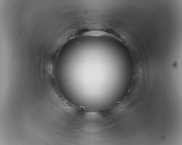 X0000111790281200907301152