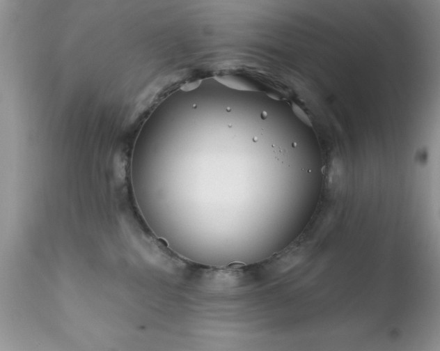 X0000111790282200907301152