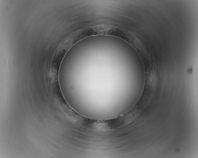 X0000111790283200907301152