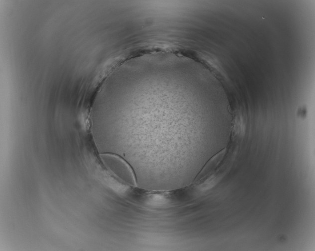 X0000111790285200907301152