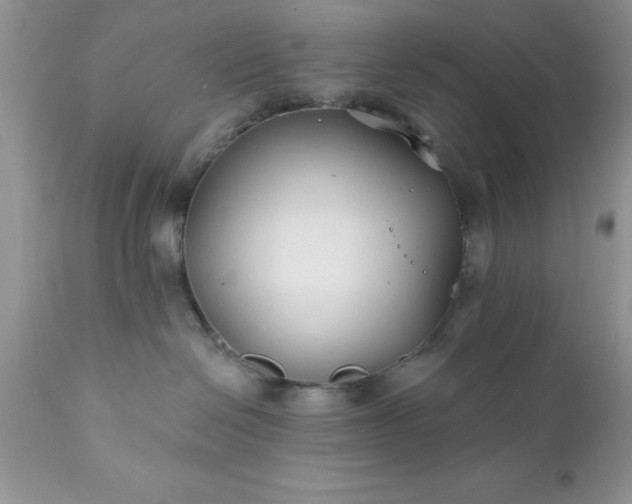 X0000111790286200907301152