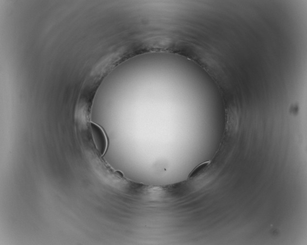 X0000111790287200907301152