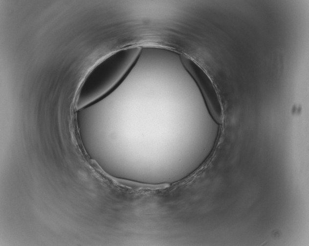 X0000111790289200907301152