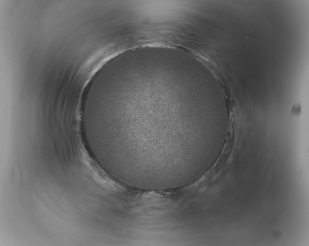 X0000111790290200907301152