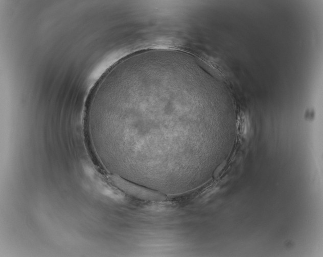 X0000111790292200907301152