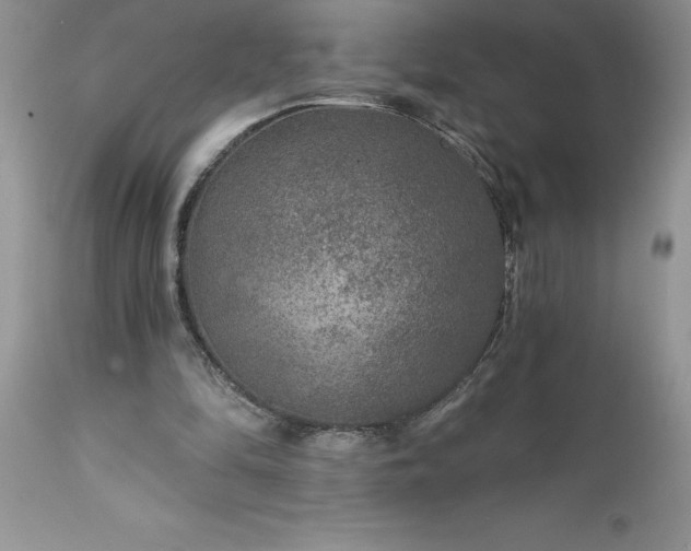 X0000111790294200907301152